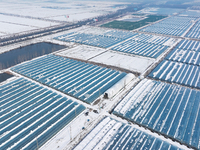 An aerial photo is showing a green vegetable planting base in Guiren Township, Suqian City, Jiangsu Province, East China, on February 25, 20...