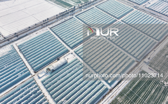 An aerial photo is showing a green vegetable planting base in Guiren Township, Suqian City, Jiangsu Province, East China, on February 25, 20...