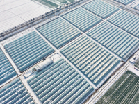 An aerial photo is showing a green vegetable planting base in Guiren Township, Suqian City, Jiangsu Province, East China, on February 25, 20...