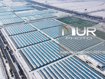 An aerial photo is showing a green vegetable planting base in Guiren Township, Suqian City, Jiangsu Province, East China, on February 25, 20...