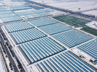 An aerial photo is showing a green vegetable planting base in Guiren Township, Suqian City, Jiangsu Province, East China, on February 25, 20...