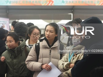 Job seekers are looking for new opportunities at the 2024 Talent Exchange Conference in Hangzhou, Zhejiang Province, China, on February 25,...