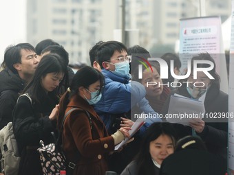 Job seekers are looking for new opportunities at the 2024 Talent Exchange Conference in Hangzhou, Zhejiang Province, China, on February 25,...