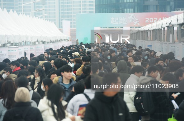 Job seekers are looking for new opportunities at the 2024 Talent Exchange Conference in Hangzhou, Zhejiang Province, China, on February 25,...