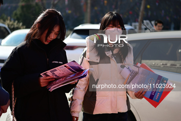 Job seekers are looking for suitable positions at a spring job fair for SMEs in Liaocheng, China, on February 25, 2024. 