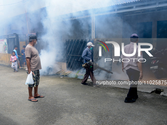 A worker is fumigating an area with anti-mosquito fog to control dengue fever in a residential area in Bogor, West Java, Indonesia, on Febru...