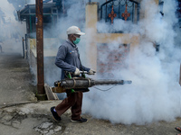 A worker is fumigating an area with anti-mosquito fog to control dengue fever in a residential area in Bogor, West Java, Indonesia, on Febru...