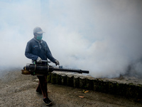 A worker is fumigating an area with anti-mosquito fog to control dengue fever in a residential area in Bogor, West Java, Indonesia, on Febru...