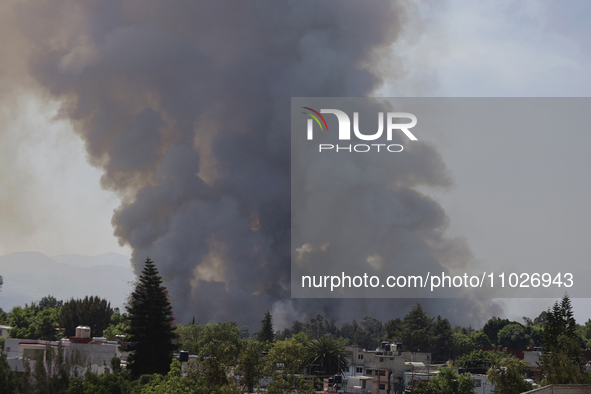 A fire is burning in the Cuemanco Ecological Park in Xochimilco, Mexico City. 