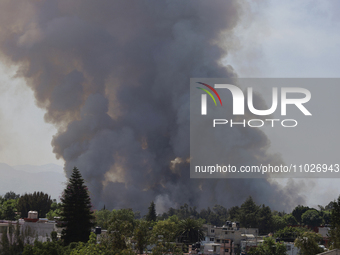 A fire is burning in the Cuemanco Ecological Park in Xochimilco, Mexico City. (