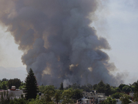 A fire is burning in the Cuemanco Ecological Park in Xochimilco, Mexico City. (