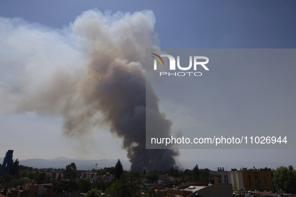 A fire is burning in the Cuemanco Ecological Park in Xochimilco, Mexico City. 