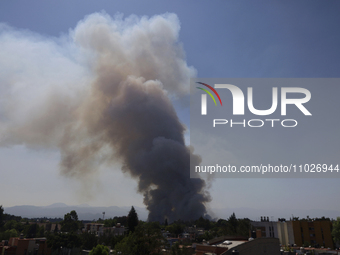 A fire is burning in the Cuemanco Ecological Park in Xochimilco, Mexico City. (