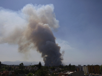 A fire is burning in the Cuemanco Ecological Park in Xochimilco, Mexico City. (