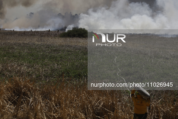 A firefighter is carrying a hose to extinguish a fire in the Cuemanco Ecological Park in Xochimilco, Mexico City. 