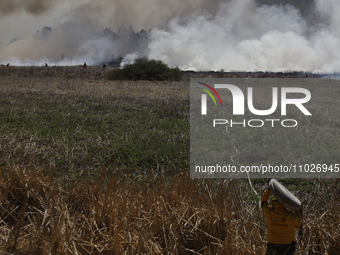 A firefighter is carrying a hose to extinguish a fire in the Cuemanco Ecological Park in Xochimilco, Mexico City. (