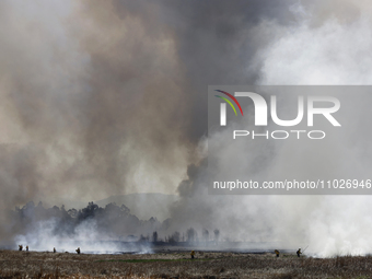 Firefighters are trying to put out a fire in the Cuemanco Ecological Park in Xochimilco, Mexico City. (