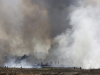 Firefighters are trying to put out a fire in the Cuemanco Ecological Park in Xochimilco, Mexico City. (