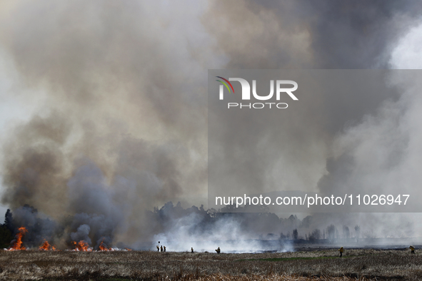 Firefighters are trying to put out a fire in the Cuemanco Ecological Park in Xochimilco, Mexico City. 