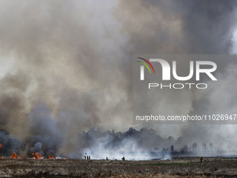 Firefighters are trying to put out a fire in the Cuemanco Ecological Park in Xochimilco, Mexico City. (