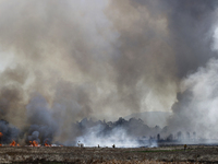 Firefighters are trying to put out a fire in the Cuemanco Ecological Park in Xochimilco, Mexico City. (