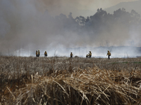 Firefighters are trying to put out a fire in the Cuemanco Ecological Park in Xochimilco, Mexico City. (