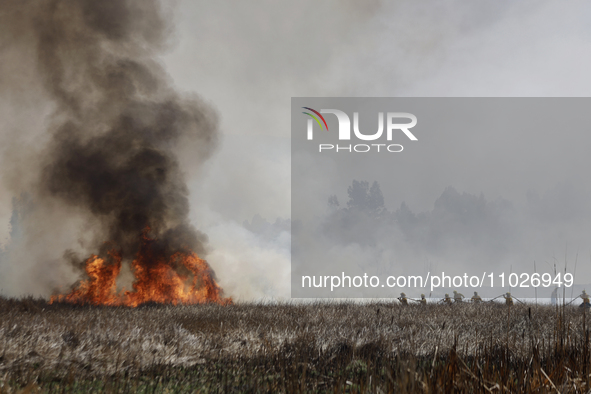 Firefighters are trying to put out a fire in the Cuemanco Ecological Park in Xochimilco, Mexico City. 