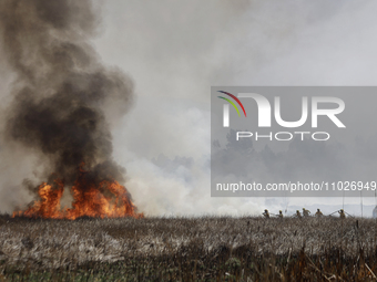 Firefighters are trying to put out a fire in the Cuemanco Ecological Park in Xochimilco, Mexico City. (