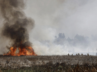 Firefighters are trying to put out a fire in the Cuemanco Ecological Park in Xochimilco, Mexico City. (