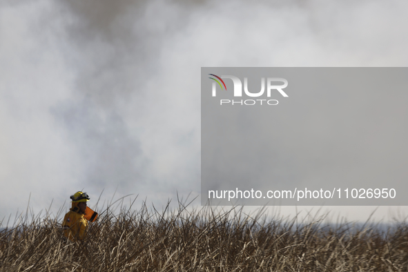 A firefighter is trying to put out a fire in the Cuemanco Ecological Park in Xochimilco, Mexico City. 