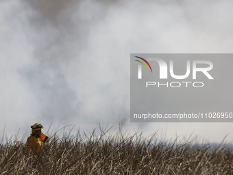 A firefighter is trying to put out a fire in the Cuemanco Ecological Park in Xochimilco, Mexico City. (