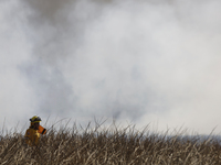 A firefighter is trying to put out a fire in the Cuemanco Ecological Park in Xochimilco, Mexico City. (