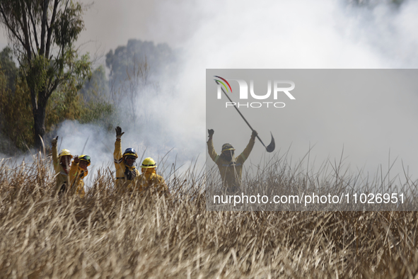 Firefighters are celebrating after putting out a fire in the Cuemanco Ecological Park in Xochimilco, Mexico City. 