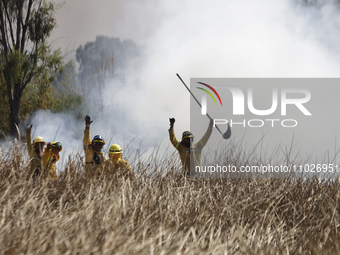 Firefighters are celebrating after putting out a fire in the Cuemanco Ecological Park in Xochimilco, Mexico City. (