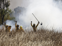 Firefighters are celebrating after putting out a fire in the Cuemanco Ecological Park in Xochimilco, Mexico City. (