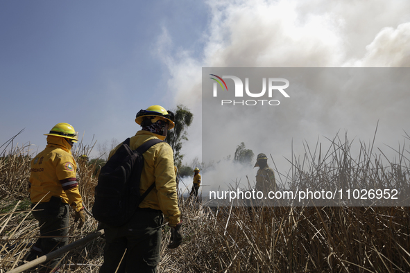 Firefighters are trying to put out a fire in the Cuemanco Ecological Park in Xochimilco, Mexico City. 