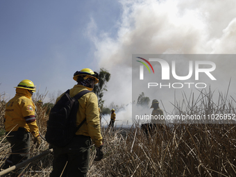 Firefighters are trying to put out a fire in the Cuemanco Ecological Park in Xochimilco, Mexico City. (