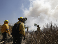 Firefighters are trying to put out a fire in the Cuemanco Ecological Park in Xochimilco, Mexico City. (