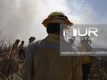 Firefighters are trying to put out a fire in the Cuemanco Ecological Park in Xochimilco, Mexico City. (