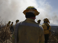 Firefighters are trying to put out a fire in the Cuemanco Ecological Park in Xochimilco, Mexico City. (