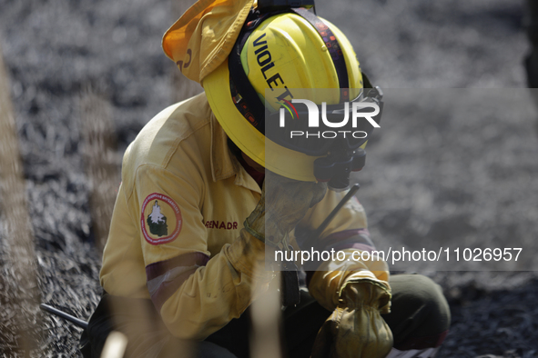 A firefighter is wiping her eyes during a fire in the Cuemanco Ecological Park in Xochimilco, Mexico City. 