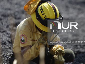 A firefighter is wiping her eyes during a fire in the Cuemanco Ecological Park in Xochimilco, Mexico City. (