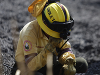 A firefighter is wiping her eyes during a fire in the Cuemanco Ecological Park in Xochimilco, Mexico City. (