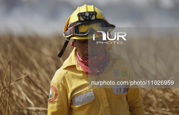 A firefighter is walking on grassland during a fire in the Cuemanco Ecological Park in Xochimilco, Mexico City. 