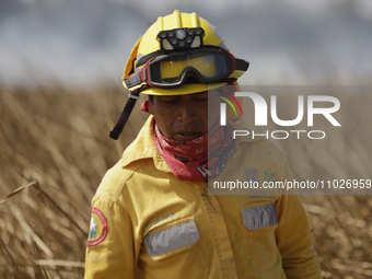 A firefighter is walking on grassland during a fire in the Cuemanco Ecological Park in Xochimilco, Mexico City. (