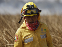 A firefighter is walking on grassland during a fire in the Cuemanco Ecological Park in Xochimilco, Mexico City. (