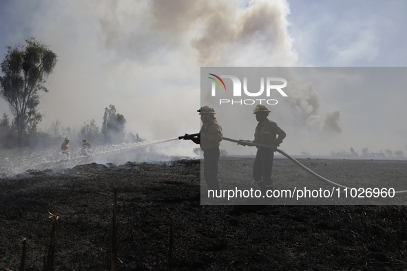 Firefighters are trying to put out a fire in the Cuemanco Ecological Park in Xochimilco, Mexico City. 