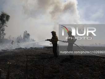 Firefighters are trying to put out a fire in the Cuemanco Ecological Park in Xochimilco, Mexico City. (