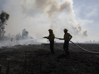 Firefighters are trying to put out a fire in the Cuemanco Ecological Park in Xochimilco, Mexico City. (