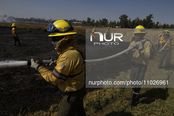 Firefighters are trying to put out a fire in the Cuemanco Ecological Park in Xochimilco, Mexico City. 